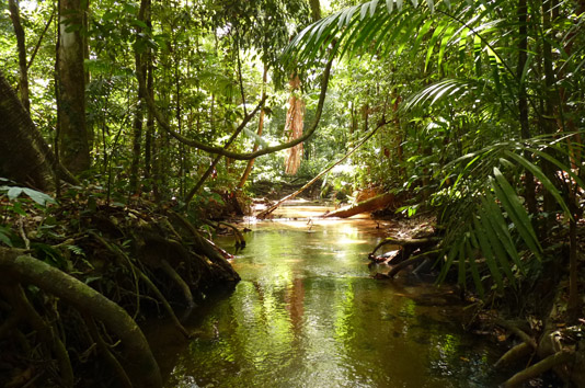 Crique Nouvelle France