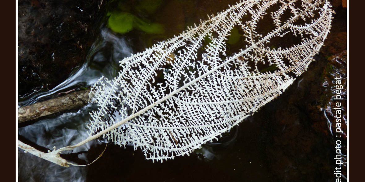 Meilleurs voeux pour 2014