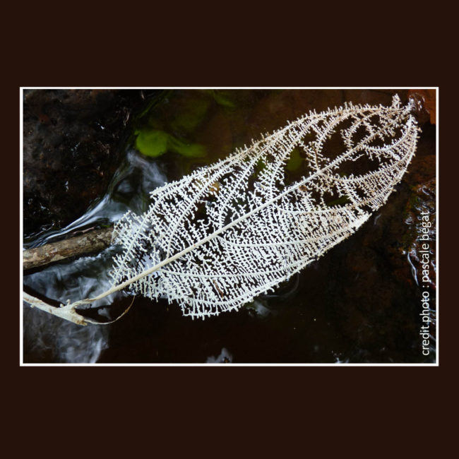 Meilleurs voeux pour 2014