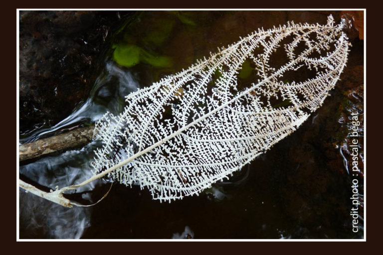 Meilleurs voeux pour 2014