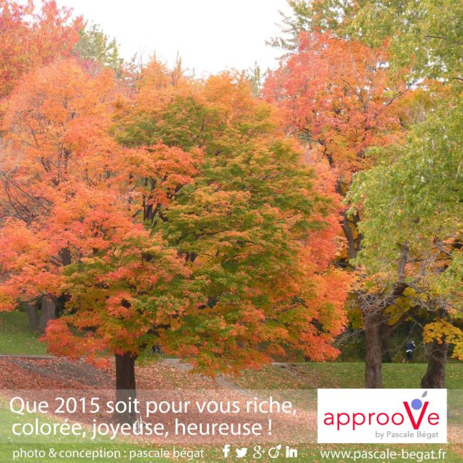 Voeux 2015 : Approove by Pascale Bégat