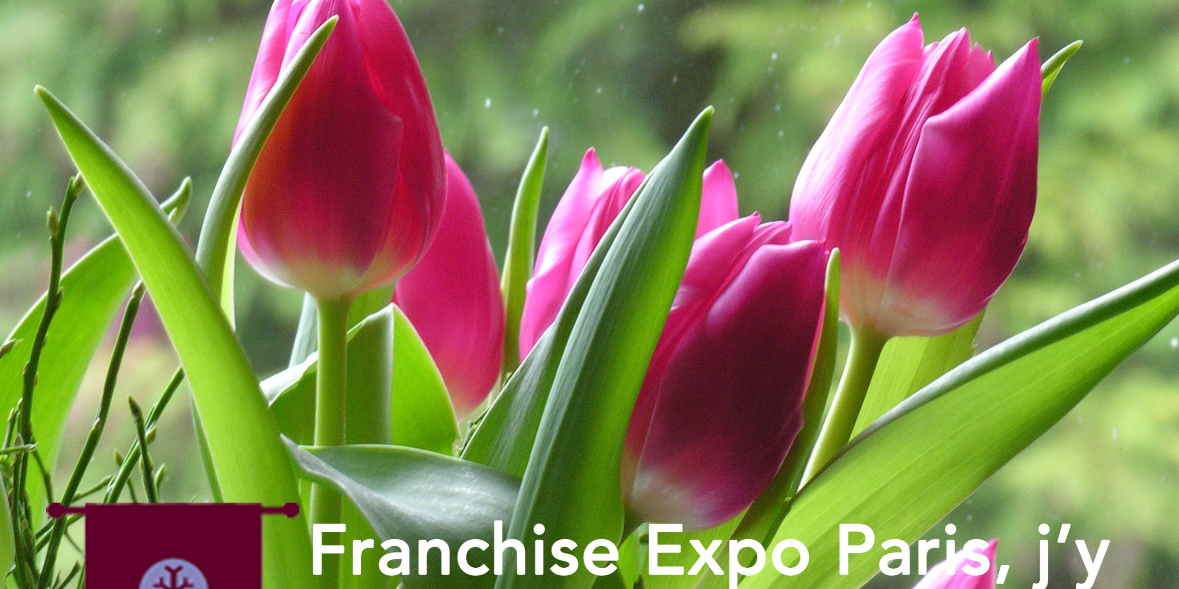 Franchise Expo Paris 2015