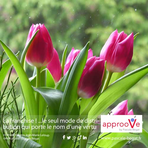 Ma vision de la franchise