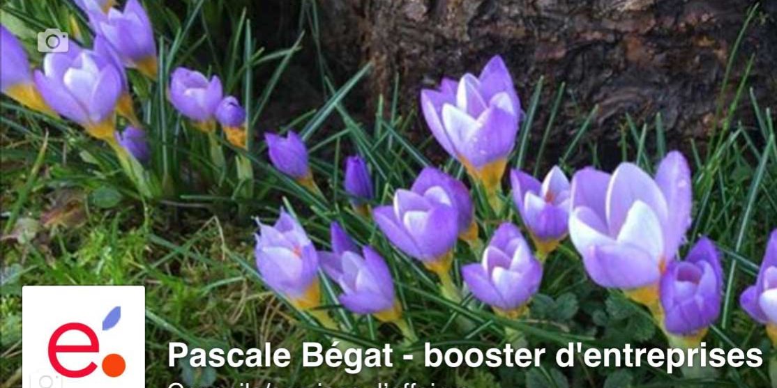 Booster votre entreprise avec les réseaux sociaux