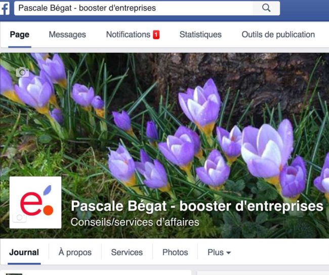 Booster votre entreprise avec les réseaux sociaux