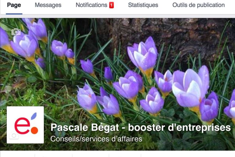 Booster votre entreprise avec les réseaux sociaux