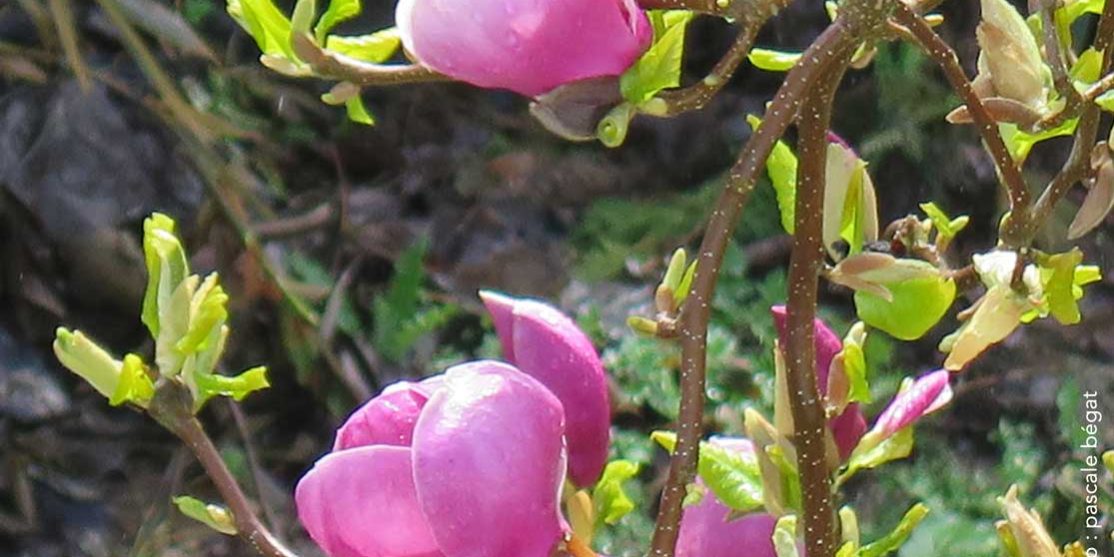 After Work réseaux sociaux pour les dirigeants d'entreprises