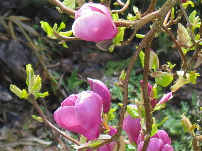 After Work réseaux sociaux pour les dirigeants d'entreprises