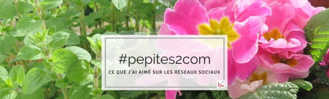 les-entreprises-communiquent-sur-les-reseaux-sociaux-6 Les entreprises communiquent sur les réseaux sociaux : des #pepites2com