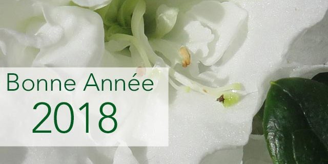 nouvel-an-2018 Bonne année 2018 à vous !