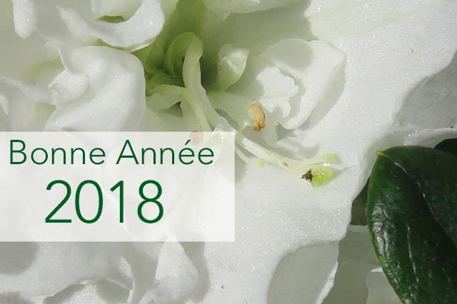 Bonne année 2018 à vous !