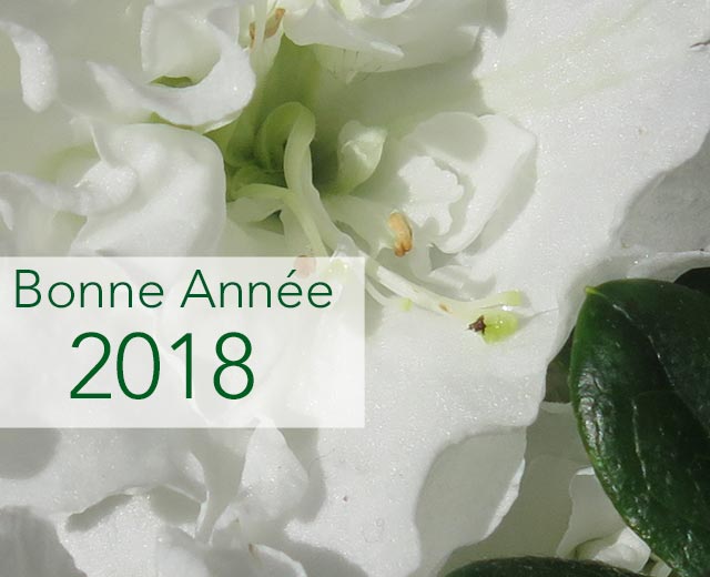 Bonne année 2018 à vous !