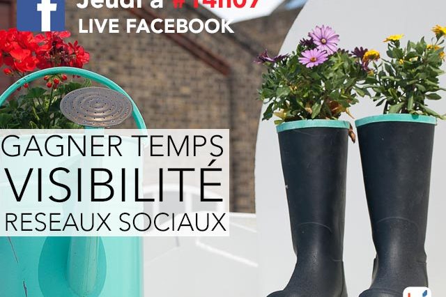 Augmenter la visibilité de mon entreprise sur les réseaux sociaux