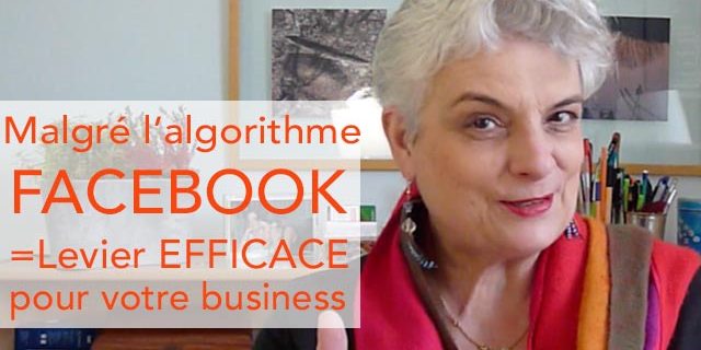 Webinaire gratuit : Facebook un levier efficace pour votre business