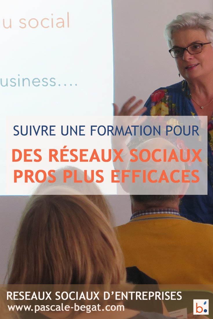 Formations reseaux sociaux pour les entreprises par Pascale Bégat Community manager freelance