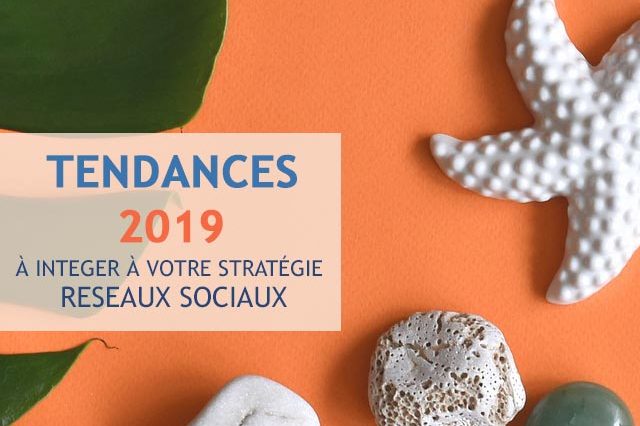 Strategie medias sociaux entreprises 2019