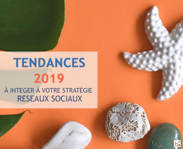 Strategie medias sociaux entreprises 2019