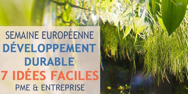 idee-developpement-durable-pme 7 idées pour le développement durable dans les PME