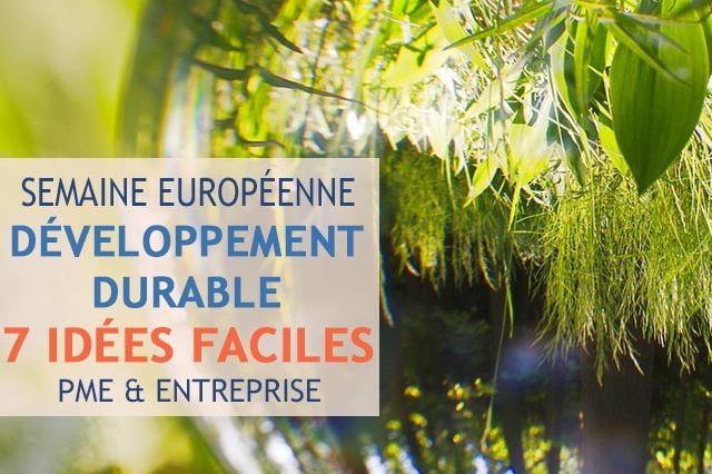 7 idées pour le développement durable dans les PME