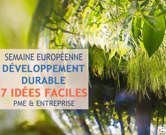 7 idées pour le développement durable dans les PME