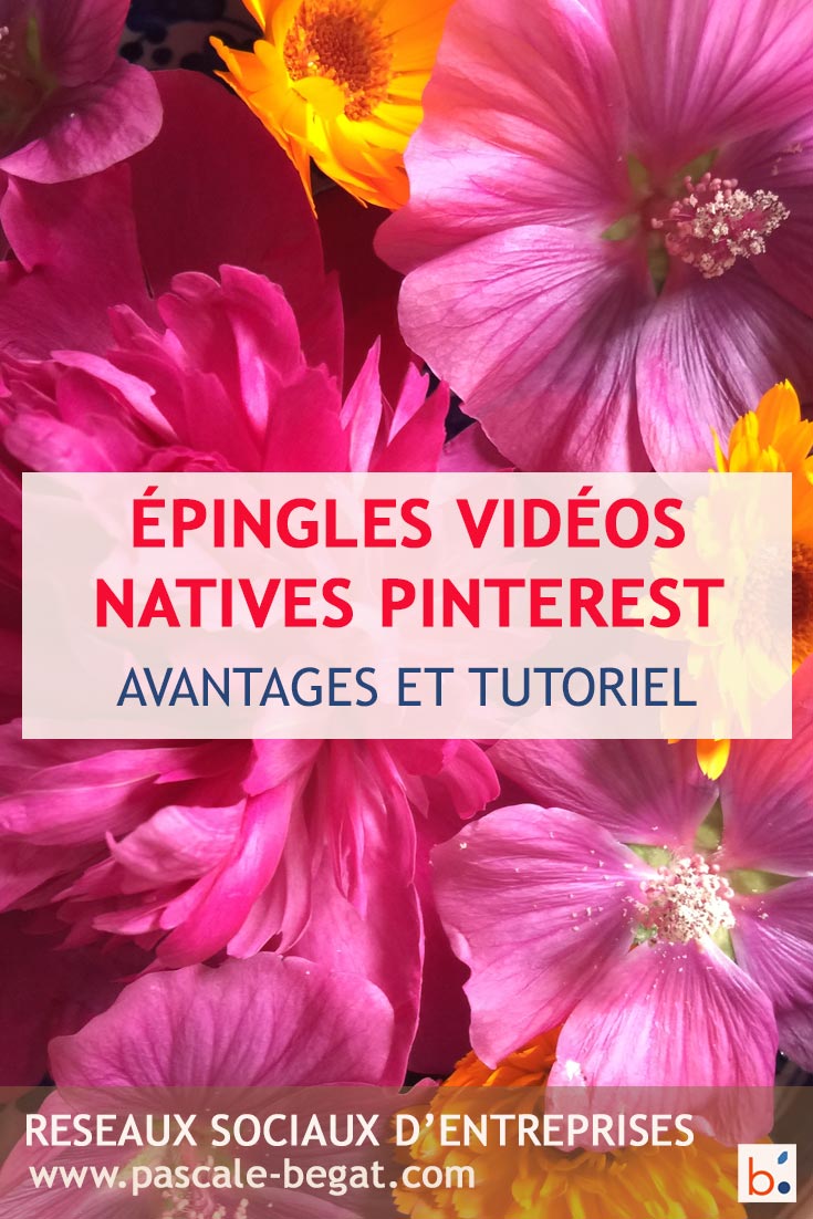 creer epingle video Pinterest