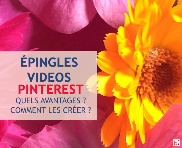 epingles vidéo Pinterest