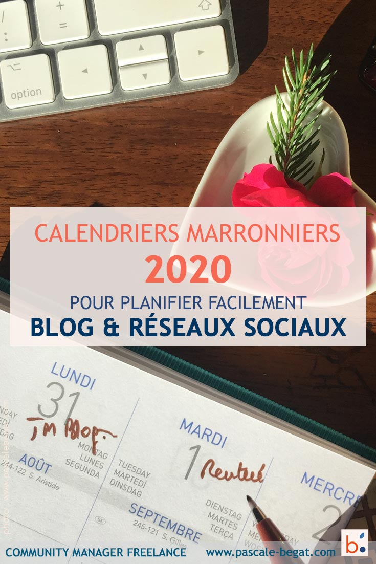 Marronnier reseaux sociaux 2020