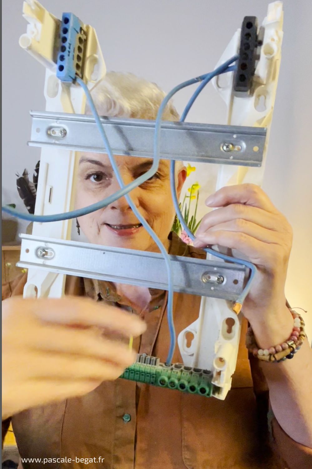 pascale begat formations pascale begat pédagogie des adultes